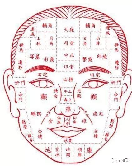 狼眼 面相|中国传统面相学说讲解：眼睛